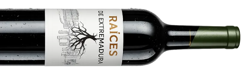 botellagiradaraicesv1