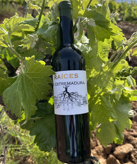 Raíces de Extremadura - Imagen 2